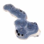 Blaue Koralle versteinert Scheibe | Platte Natur in bester Farbe und Maserung Edelsteine Heilsteine bei Wunderstein24