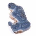 Blaue Koralle versteinert Scheibe | Platte Natur in bester Farbe und Maserung Edelsteine Heilsteine bei Wunderstein24