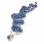 Blaue Koralle versteinert Scheibe | Platte Natur in bester Farbe und Maserung Edelsteine Heilsteine bei Wunderstein24 Blaue Koralle versteinert Scheibe | Platte Natur in bester Farbe und Maserung Edelsteine Heilsteine bei Wunderstein24