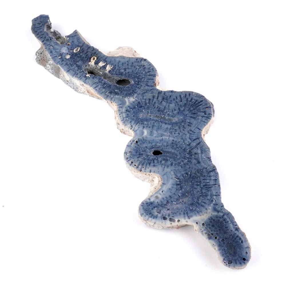 Blaue Koralle versteinert Scheibe | Platte Natur in bester Farbe und Maserung Edelsteine Heilsteine bei Wunderstein24 Blaue Koralle versteinert Scheibe | Platte Natur in bester Farbe und Maserung Edelsteine Heilsteine bei Wunderstein24