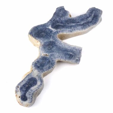 Blaue Koralle versteinert Scheibe | Platte Natur in bester Farbe und Maserung Edelsteine Heilsteine bei Wunderstein24