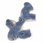 Blaue Koralle versteinert Scheibe | Platte Natur in bester Farbe und Maserung Edelsteine Heilsteine bei Wunderstein24