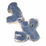 Blaue Koralle versteinert Scheibe | Platte Natur in bester Farbe und Maserung Edelsteine Heilsteine bei Wunderstein24