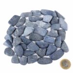 Blaue Koralle versteinert Trommelsteine Ø 20 – 45 mm mit wunderschöner Maserung Edelsteine Heilsteine bei Wunderstein24