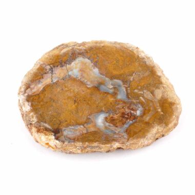 Versteinertes Holz Scheibe | Platte bunt Natur in bester Farbe und Maserung Edelsteine Heilsteine bei Wunderstein24