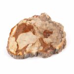 Versteinertes Holz Scheibe | Platte bunt Natur in bester Farbe und Maserung Edelsteine Heilsteine bei Wunderstein24