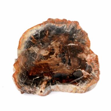 Versteinertes Holz Scheibe | Platte bunt Natur in bester Farbe und Maserung Edelsteine Heilsteine bei Wunderstein24