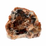 Versteinertes Holz Scheibe | Platte bunt Natur in bester Farbe und Maserung Edelsteine Heilsteine bei Wunderstein24