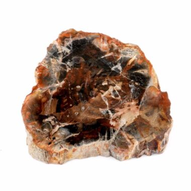 Versteinertes Holz Scheibe | Platte bunt Natur in bester Farbe und Maserung Edelsteine Heilsteine bei Wunderstein24