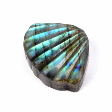 Labradorit Muschel Gravur Einzelstück in einzigartiger Qualität und Farbe Edelsteine Heilsteine bei Wunderstein24