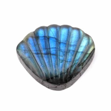 Labradorit Muschel Gravur Einzelstück in einzigartiger Qualität und Farbe Edelsteine Heilsteine bei Wunderstein24