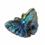 Labradorit Schmetterling große Gravur Einzelstück in einzigartiger Qualität und Farbe Edelsteine Heilsteine bei Wunderstein24 Labradorit Schmetterling große Gravur Einzelstück in einzigartiger Qualität und Farbe Edelsteine Heilsteine bei Wunderstein24