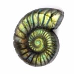 Labradorit Ammonit große Gravur Einzelstück in einzigartiger Qualität und Farbe Edelsteine Heilsteine bei Wunderstein24 Labradorit Ammonit große Gravur Einzelstück in einzigartiger Qualität und Farbe Edelsteine Heilsteine bei Wunderstein24