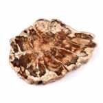 Lemuria Bergkristall Stufe transparent und glasklar in sehr guter Qualität Edelsteine Heilsteine bei Wunderstein24