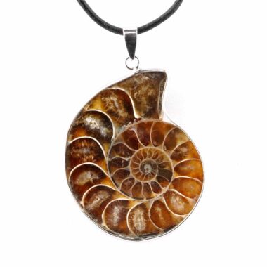 Ammonit Anhänger Öffnung rechts Länge ca. 48 – 50 mm mit silberner Öse Edelsteine Heilsteine bei Wunderstein24