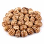 Aragonit Trommelsteine handpoliert Ø ca. 25 – 30 mm Edelsteine Heilsteine bei Wunderstein24