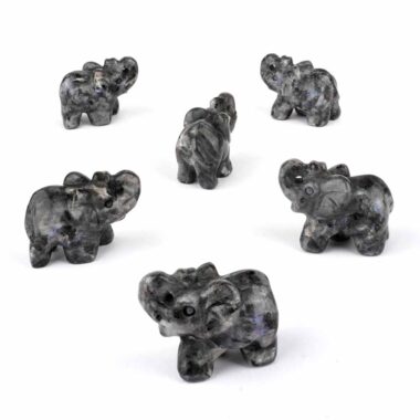 Larvikit Elefant | Glückselefant Gravur Ø ca. 47 mm Edelsteine Heilsteine bei Wunderstein24