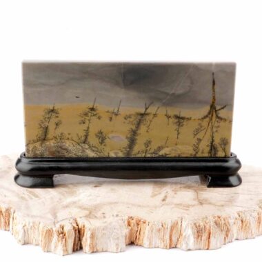 Dentritischer Jaspis ( Bilderjaspis ) Bild | Scheibe | Platte Naturgemälde Edelsteine Heilsteine bei Wunderstein24