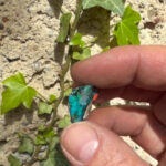Opal Edelstein Natur Ø 30 mm | 16 Karat Edelopal aus Äthiopien Edelsteine Heilsteine bei Wunderstein24