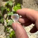 Opal Edelstein Natur Ø 21,2 mm | 11,2 Karat Edelopal aus Äthiopien Edelsteine Heilsteine bei Wunderstein24