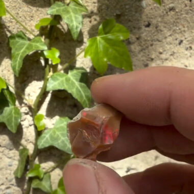 Opal Edelstein Natur Ø 20,5 mm | 11,7 Karat Edelopal aus Äthiopien Edelsteine Heilsteine bei Wunderstein24